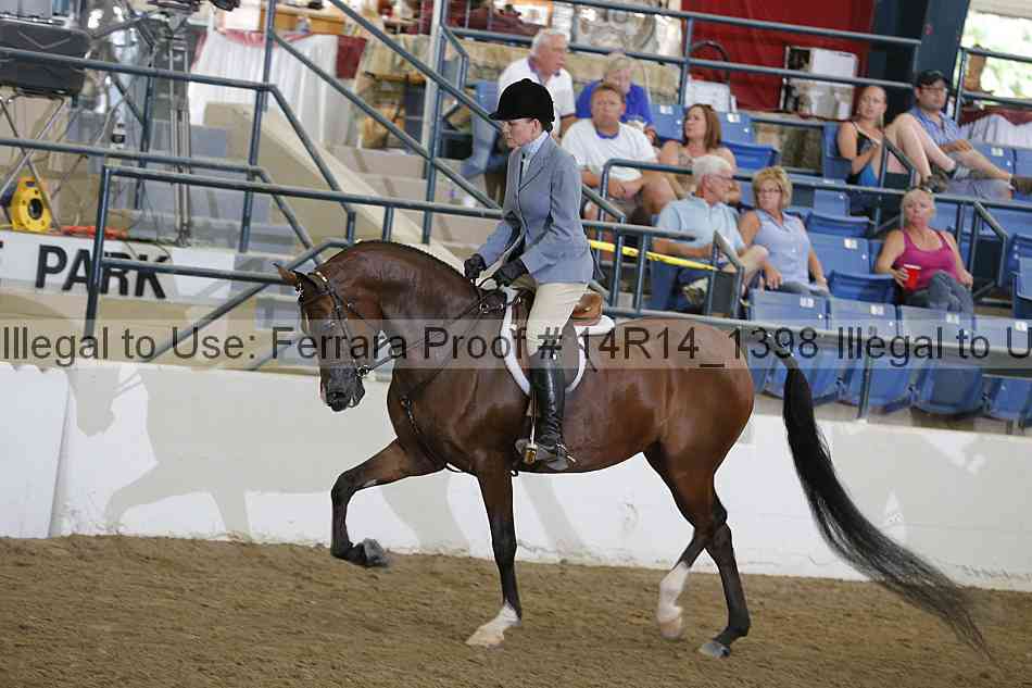 Proof Number 14r14_1398