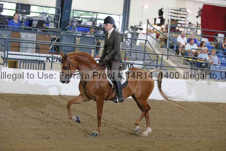 Proof Number 14r14_1400