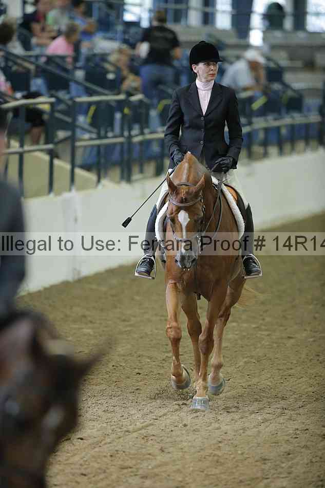 Proof Number 14r14_1401