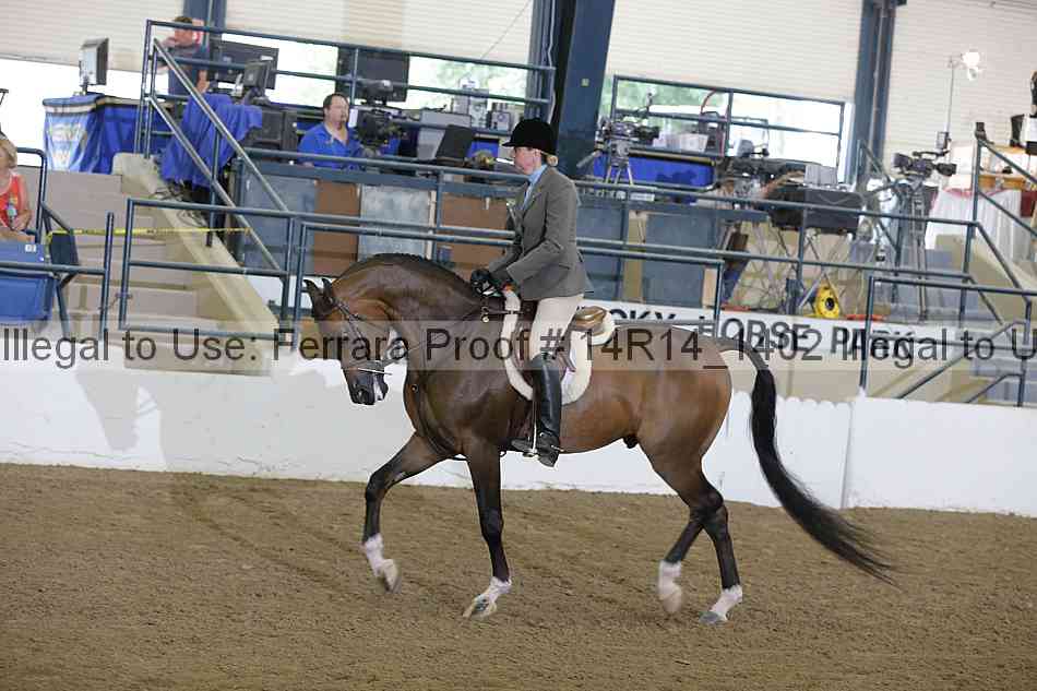Proof Number 14r14_1402