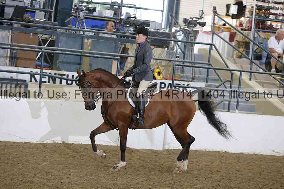 Proof Number 14r14_1404