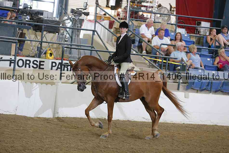 Proof Number 14r14_1406