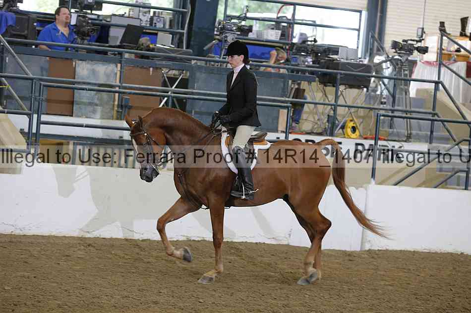 Proof Number 14r14_1407