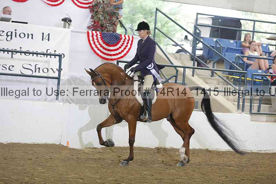 Proof Number 14r14_1415