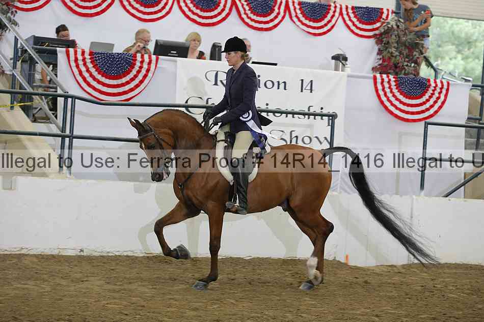 Proof Number 14r14_1416