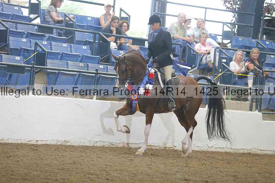 Proof Number 14r14_1425