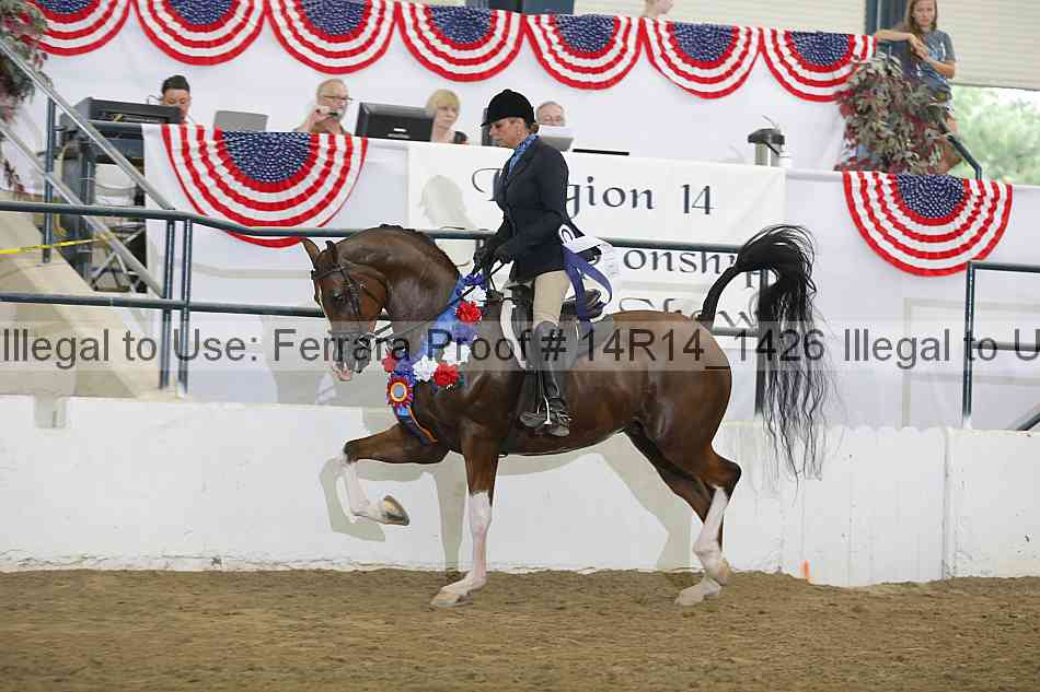 Proof Number 14r14_1426