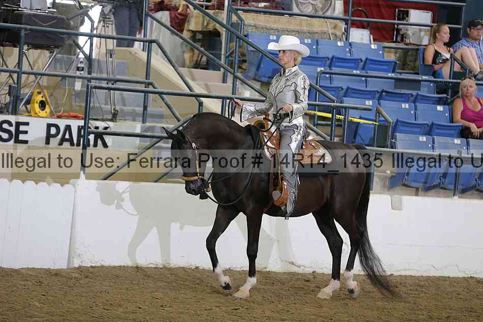 Proof Number 14r14_1435