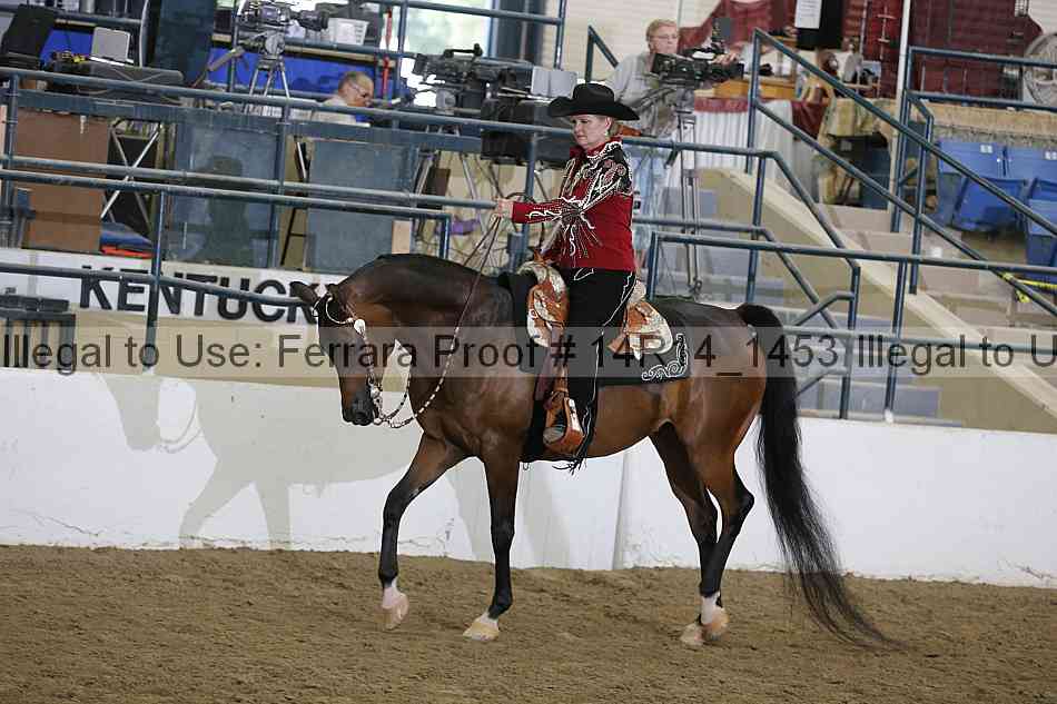 Proof Number 14r14_1453