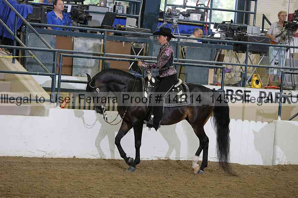 Proof Number 14r14_1456
