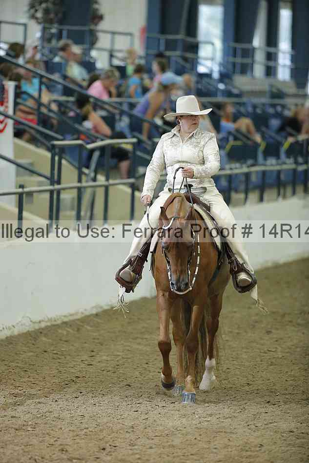 Proof Number 14r14_1462