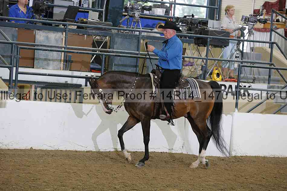 Proof Number 14r14_1470