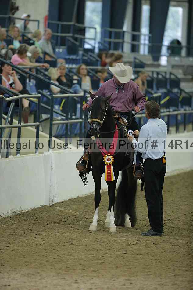 Proof Number 14r14_1478
