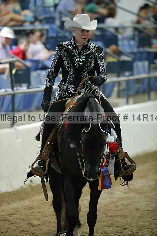 Proof Number 14r14_1486