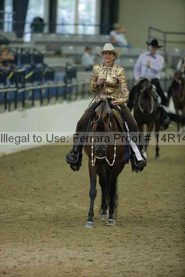 Proof Number 14r14_1488