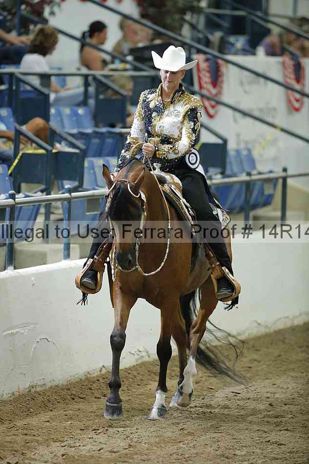 Proof Number 14r14_1497