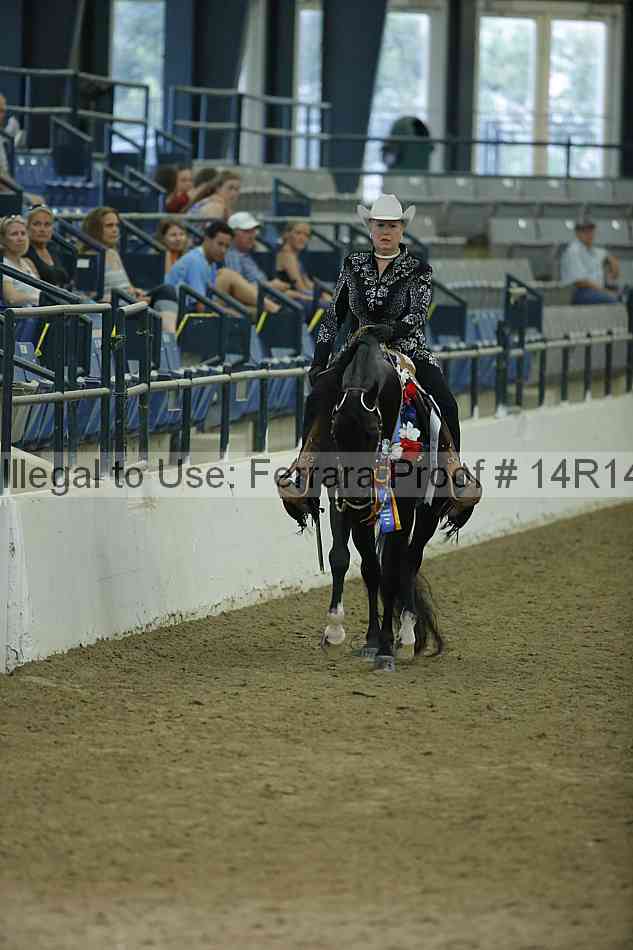 Proof Number 14r14_1504