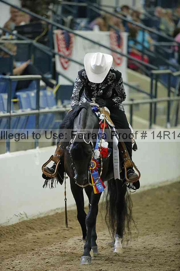 Proof Number 14r14_1506