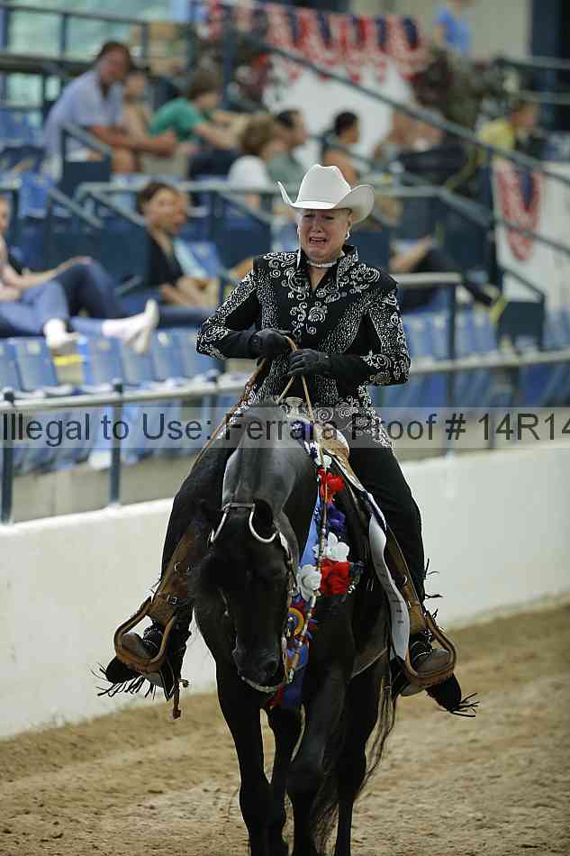 Proof Number 14r14_1509
