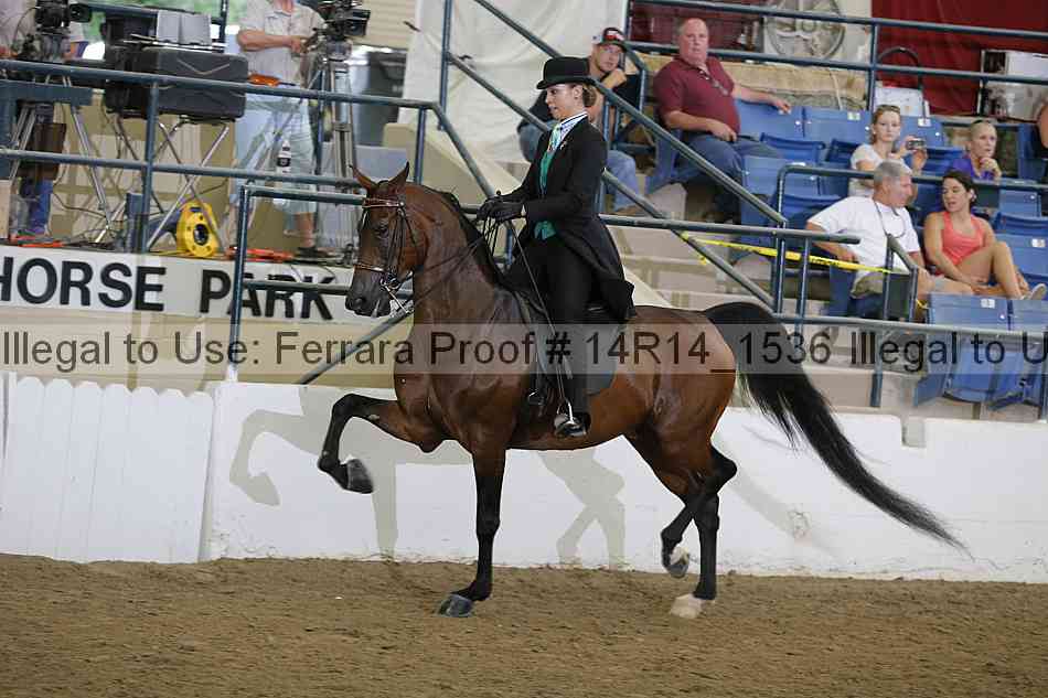 Proof Number 14r14_1536