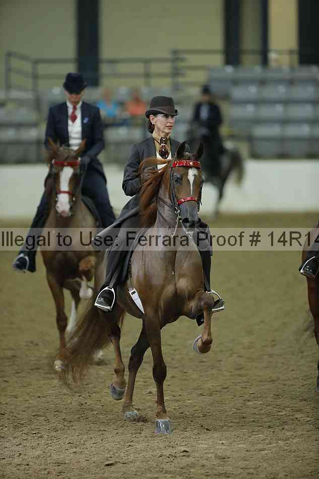 Proof Number 14r14_1537