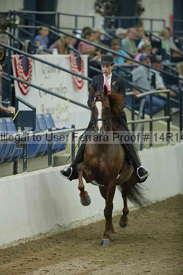 Proof Number 14r14_1540