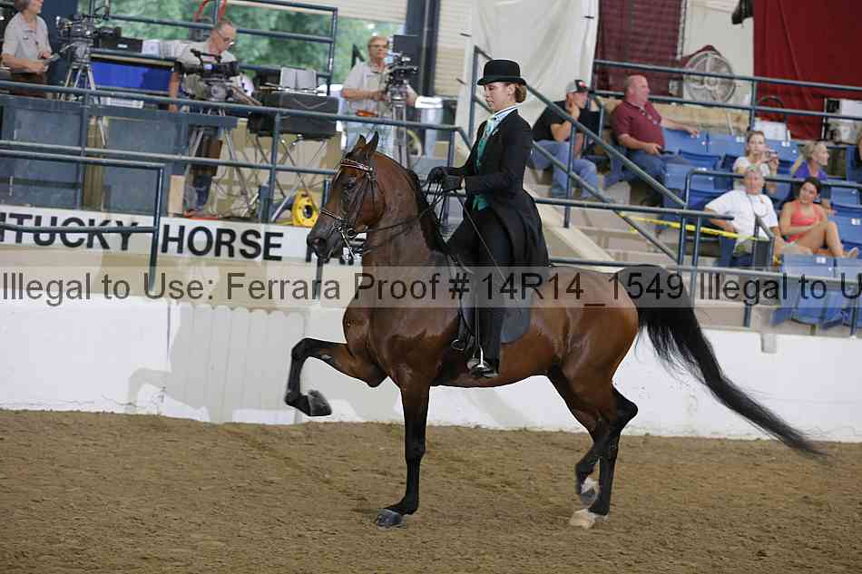 Proof Number 14r14_1549