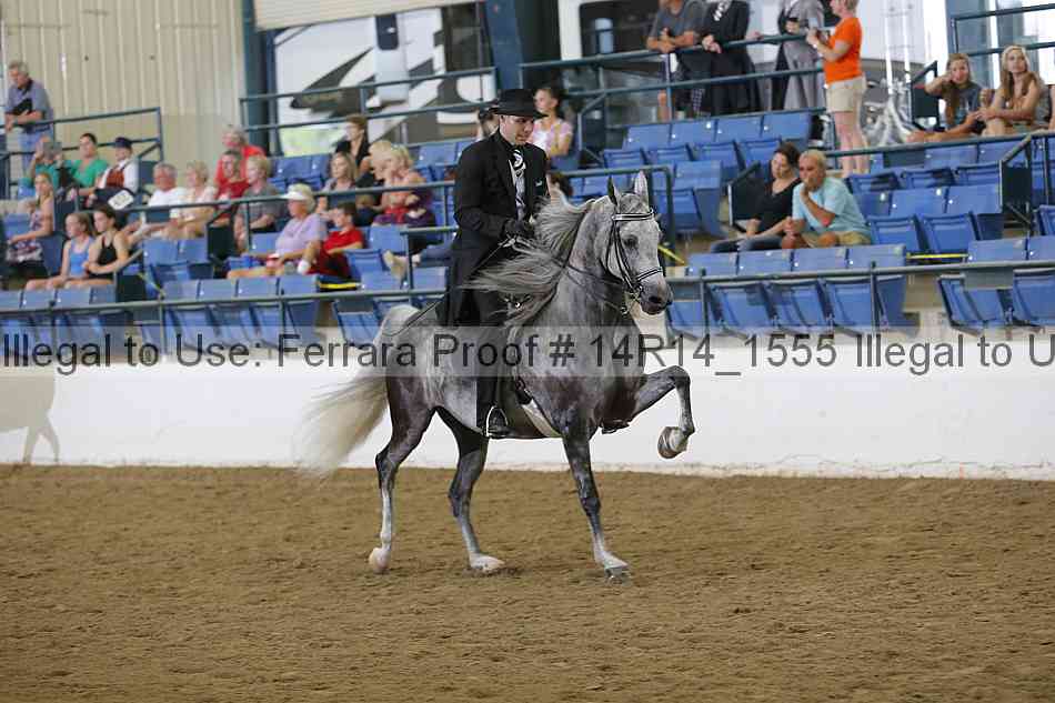 Proof Number 14r14_1555