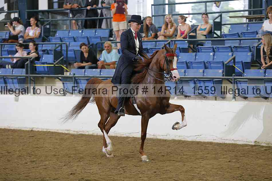 Proof Number 14r14_1559