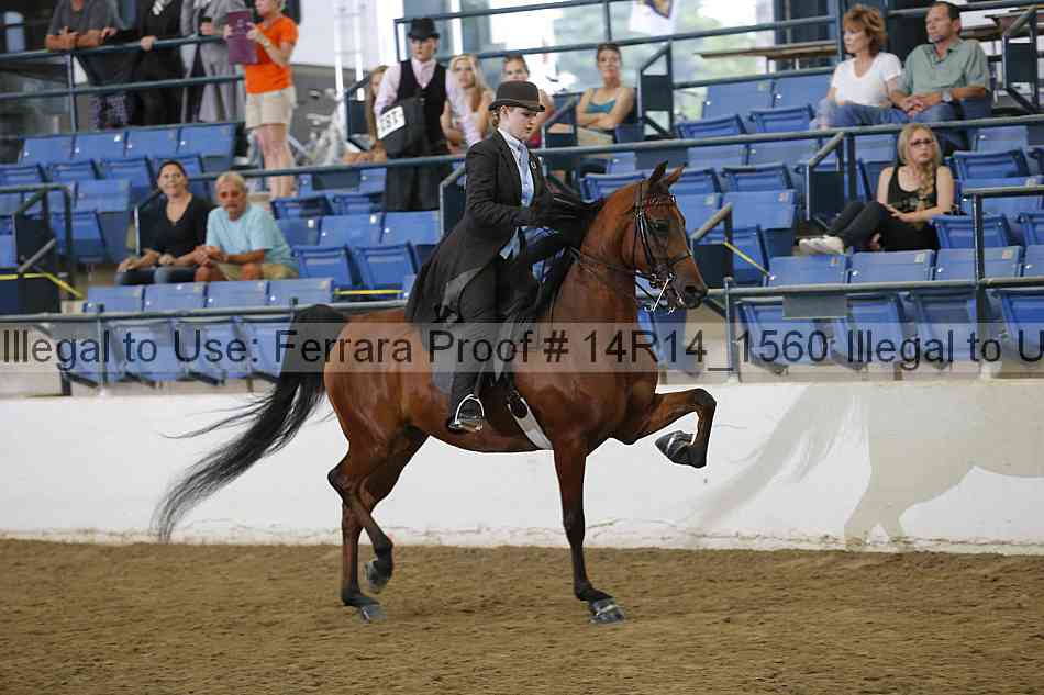 Proof Number 14r14_1560