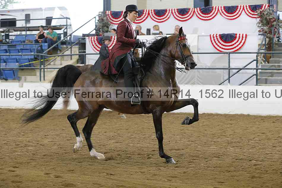 Proof Number 14r14_1562