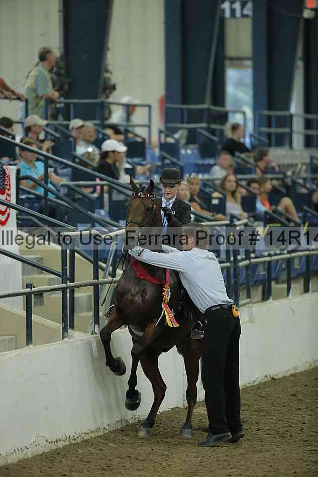 Proof Number 14r14_1563