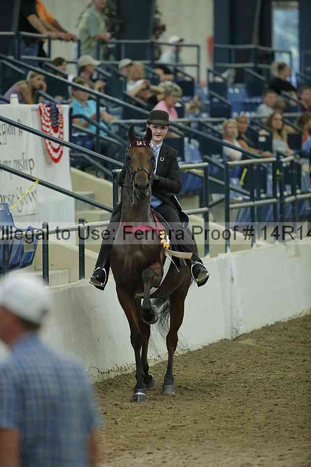 Proof Number 14r14_1564