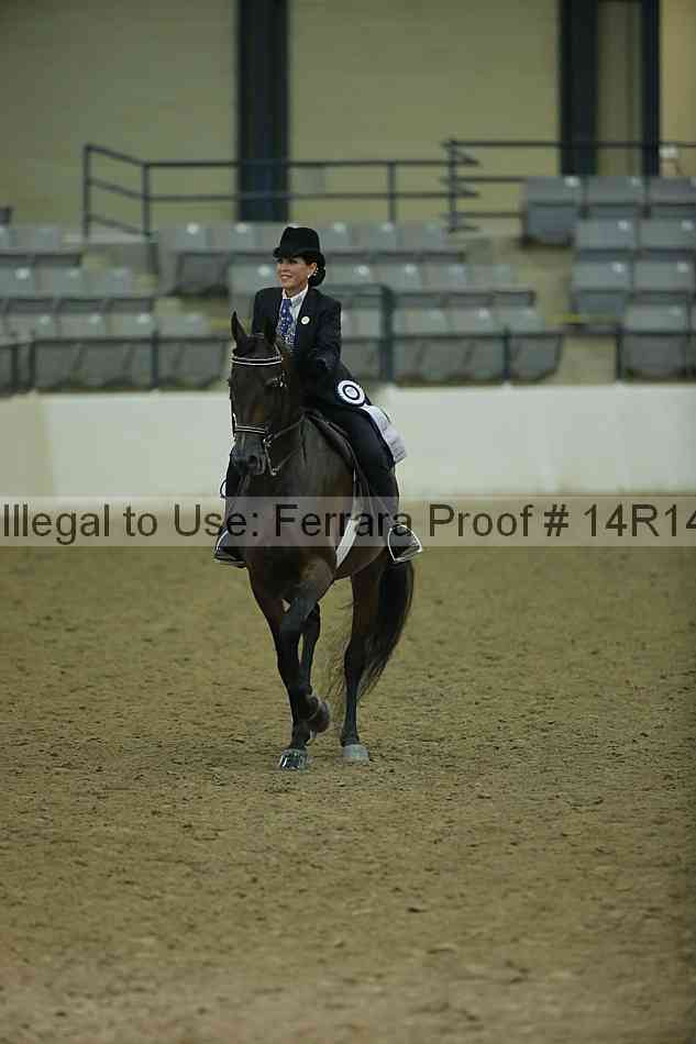 Proof Number 14r14_1566