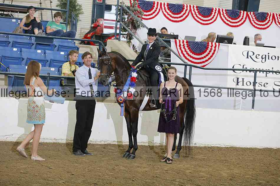 Proof Number 14r14_1568
