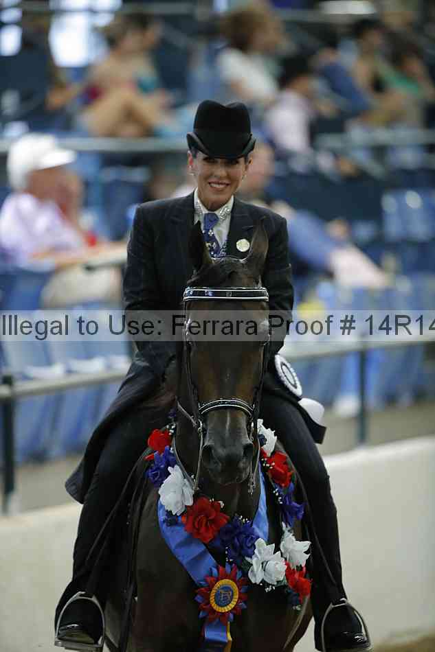 Proof Number 14r14_1571