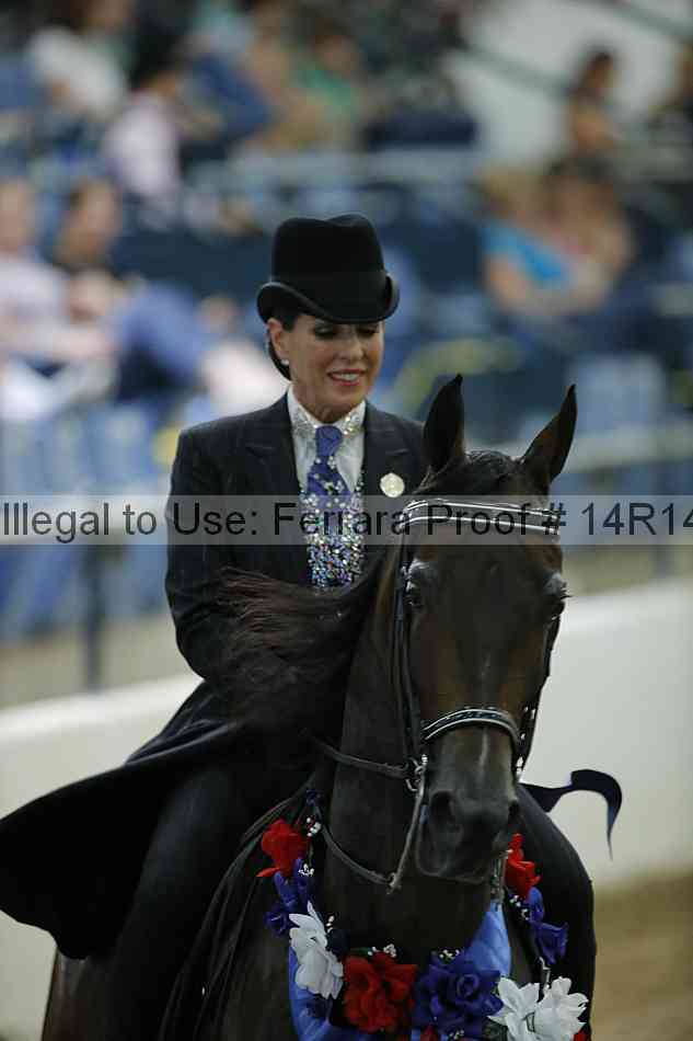 Proof Number 14r14_1572