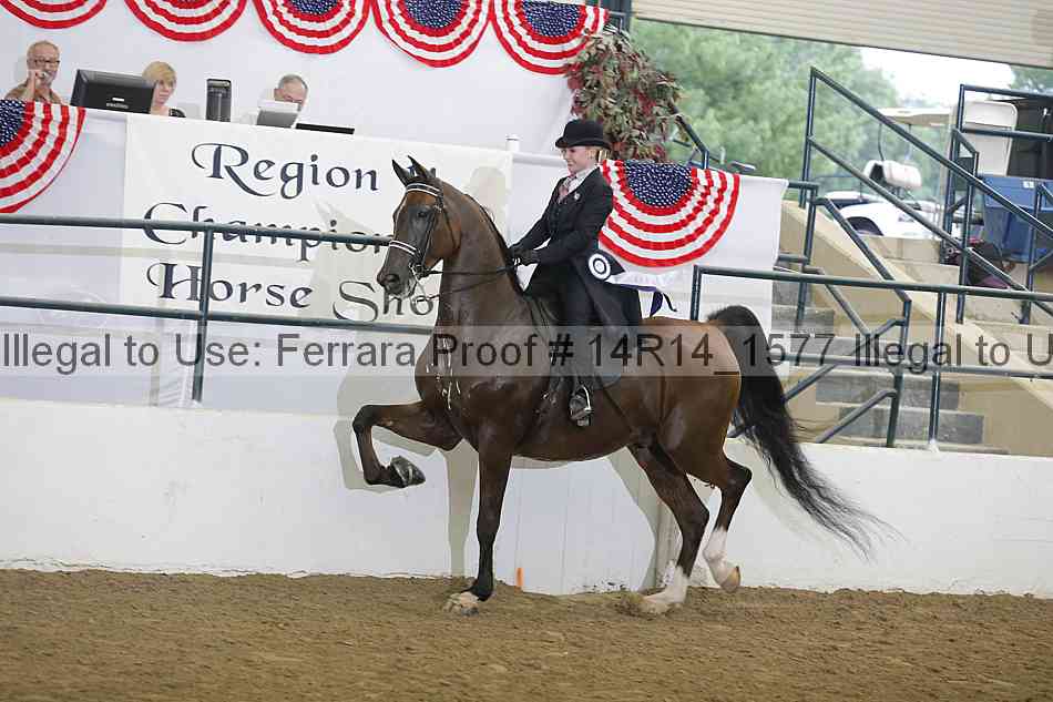 Proof Number 14r14_1577