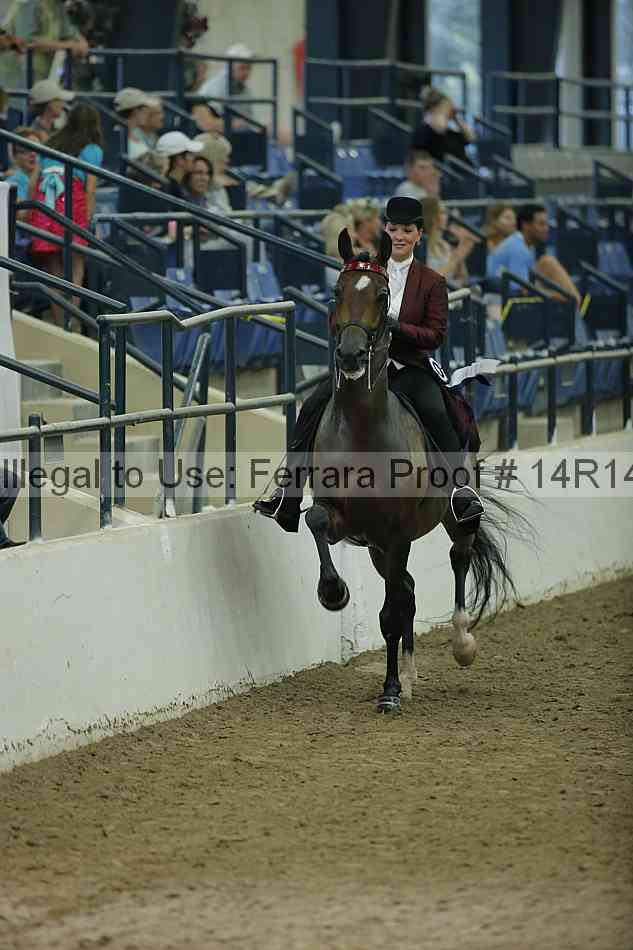 Proof Number 14r14_1579