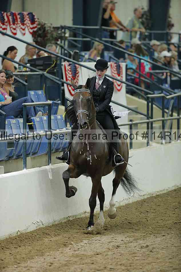 Proof Number 14r14_1581