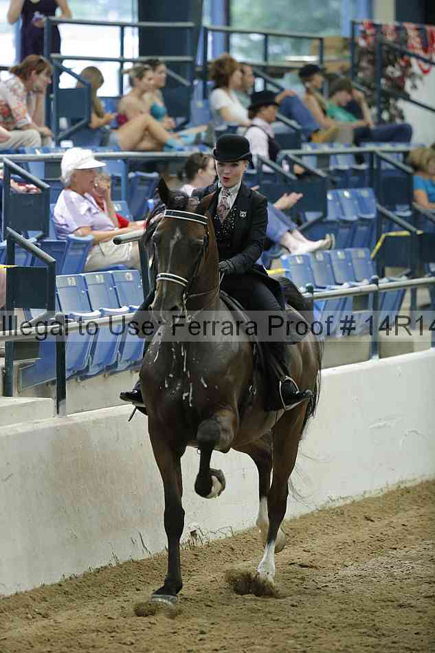 Proof Number 14r14_1582