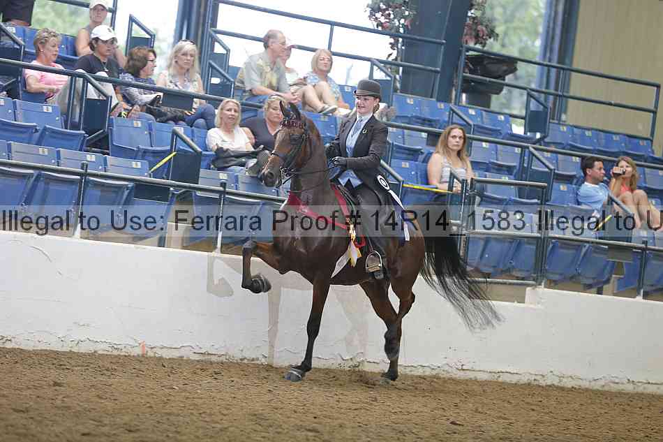 Proof Number 14r14_1583