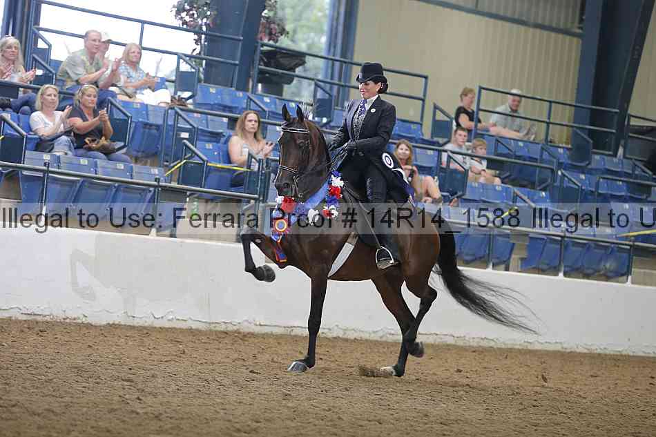Proof Number 14r14_1588