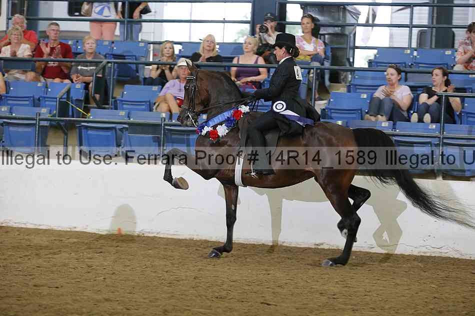Proof Number 14r14_1589