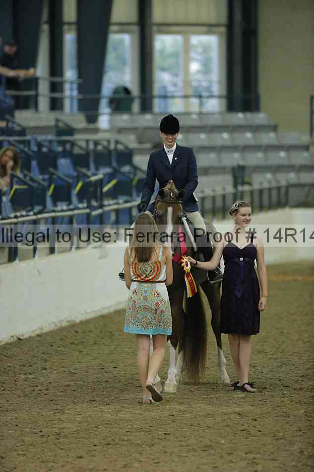 Proof Number 14r14_1615