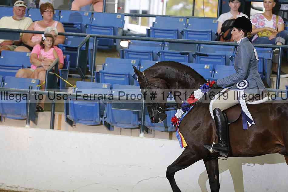 Proof Number 14r14_1619
