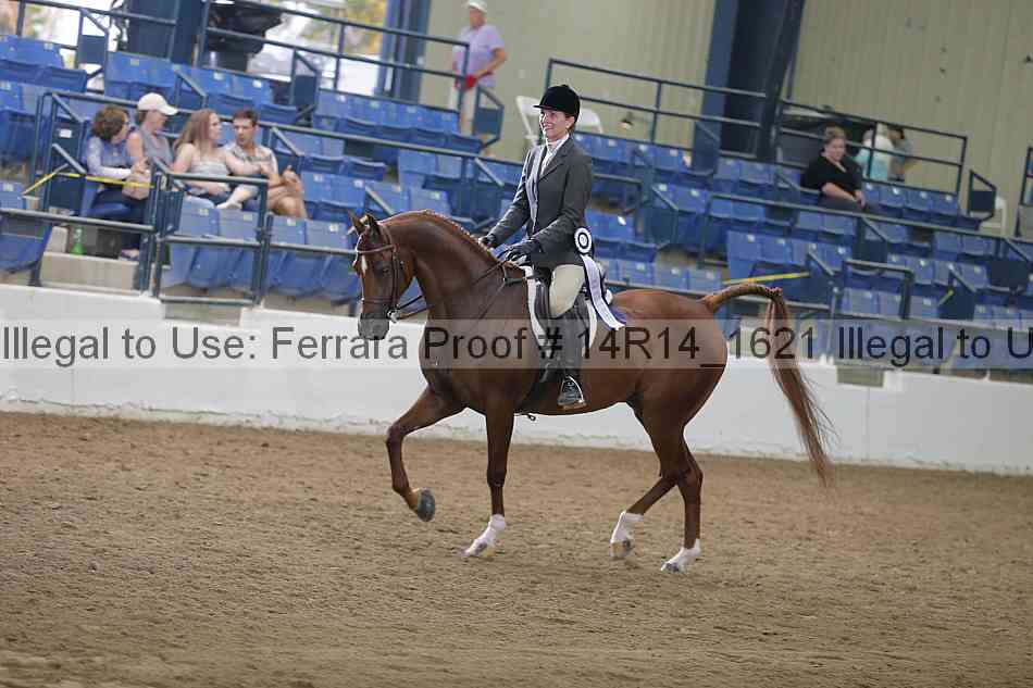 Proof Number 14r14_1621