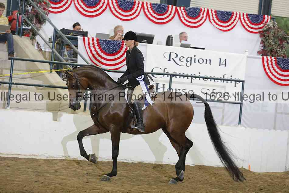Proof Number 14r14_1626