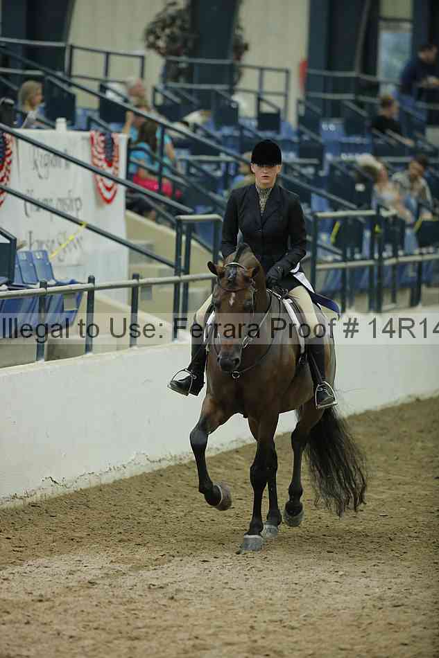 Proof Number 14r14_1627