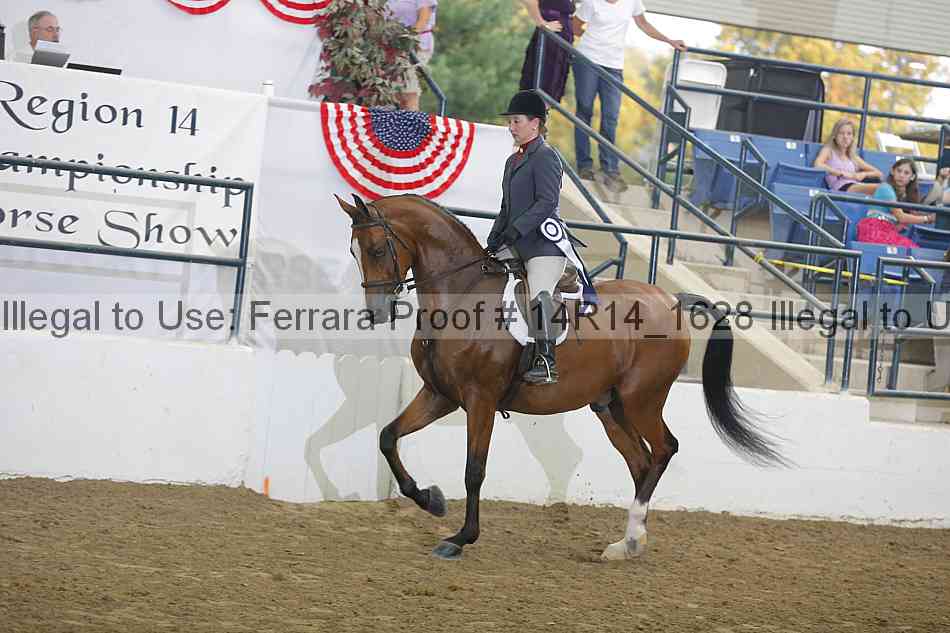 Proof Number 14r14_1628